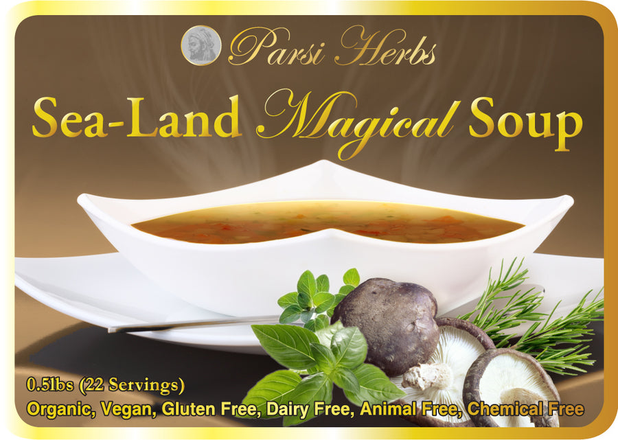 Sea-Land Magical Soup